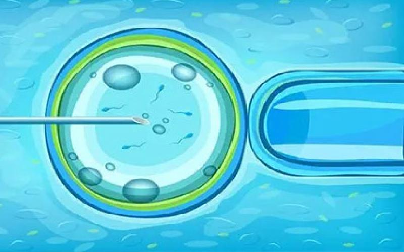 做试管检查子宫吗代生